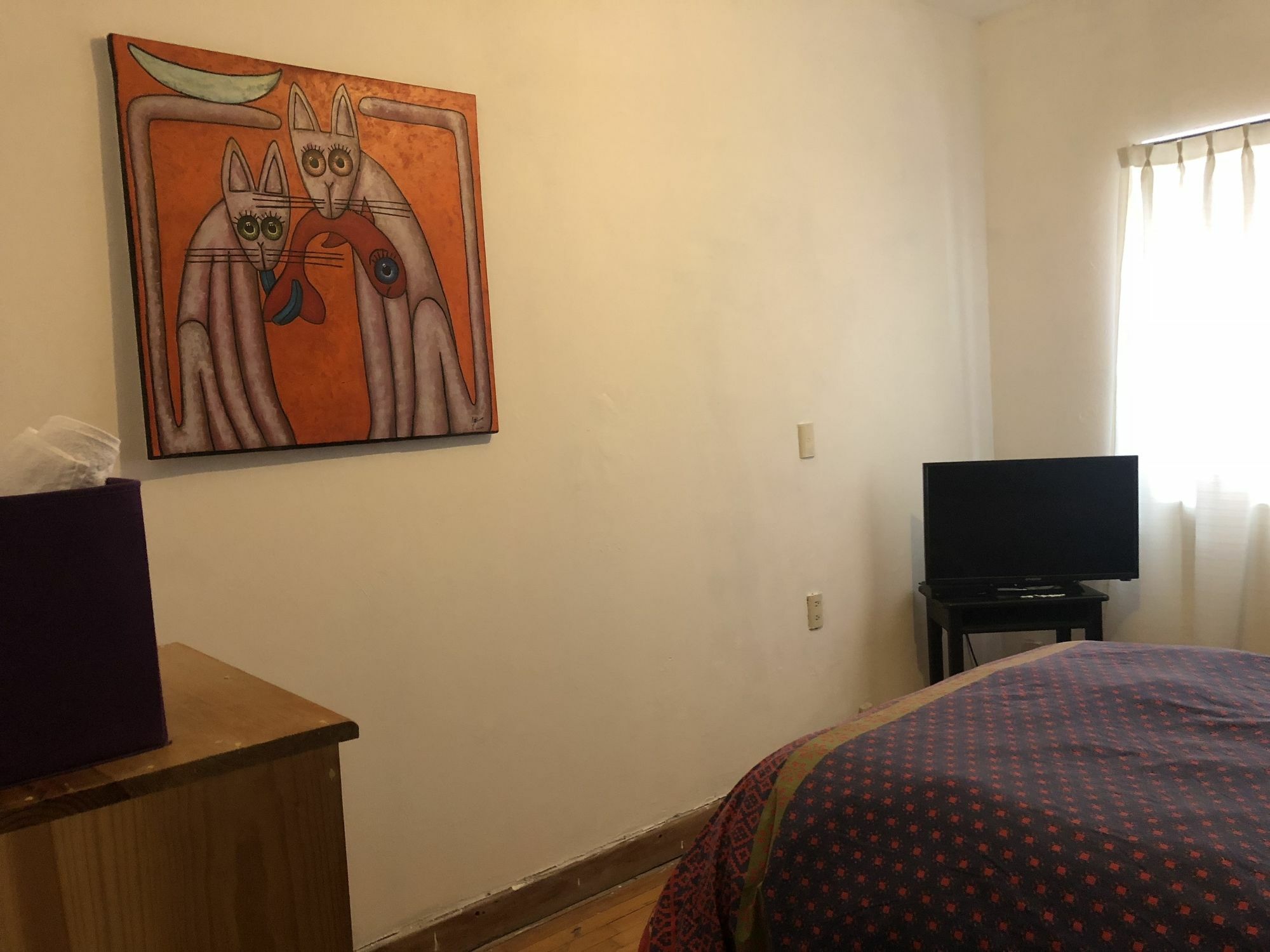 Curie 10 B&B Meksika Dış mekan fotoğraf